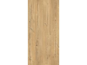 Világos partosa tölgy