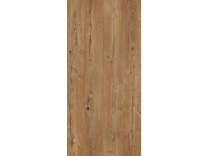 Barna partosa tölgy