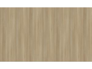 Világos dylan tölgy