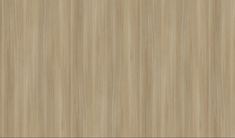 Világos dylan tölgy